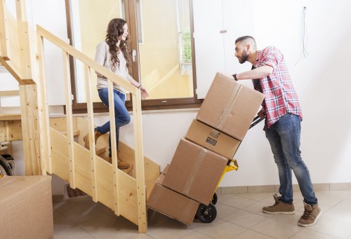 Professional mover carrying boxes during a Holloway relocation