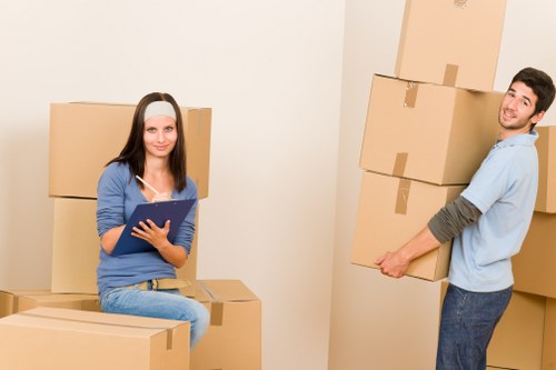 Local Holloway moving service with van and boxes