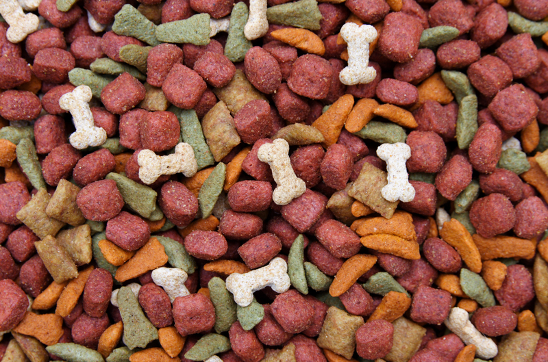 A Step-by-Step Guide to Storing Your Freezer Efficiently