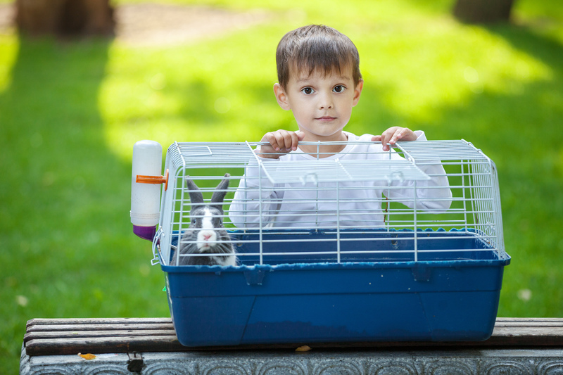 Comprehensive Move-Out Cleaning Guide for Homeowners